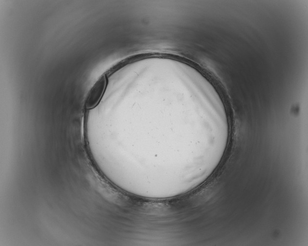 X0000111631320200908141334