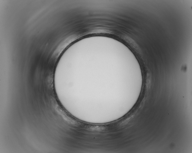 X0000111631321200908141334
