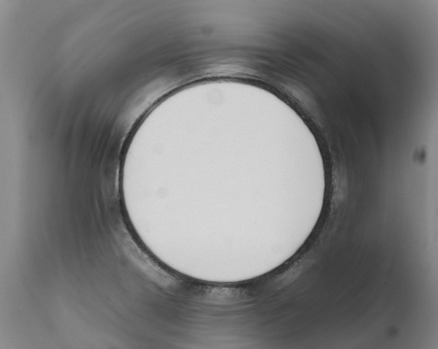 X0000111631322200908141334