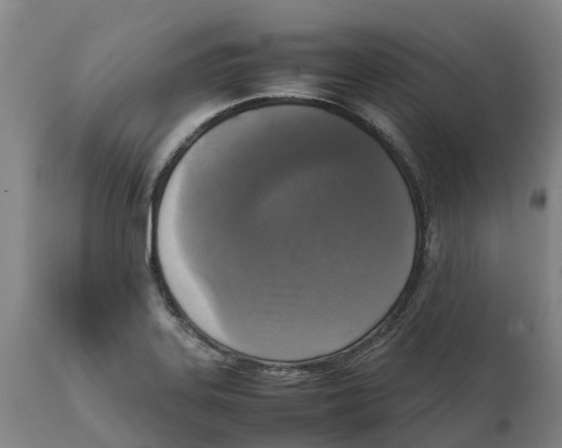 X0000111631323200908141334