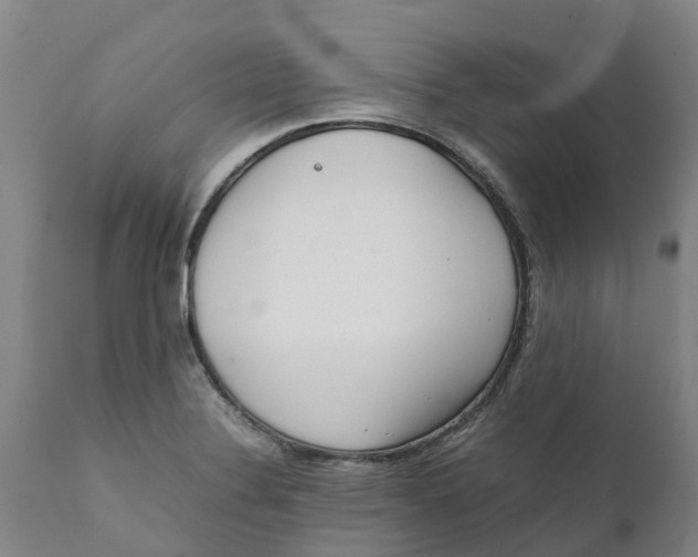 X0000111631324200908141334