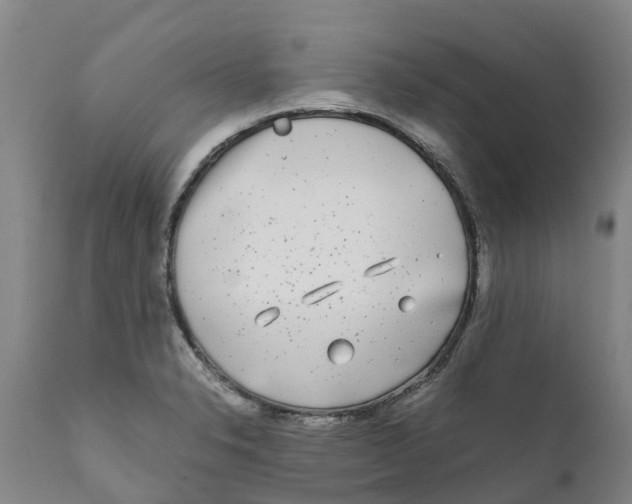 X0000111631326200908141334