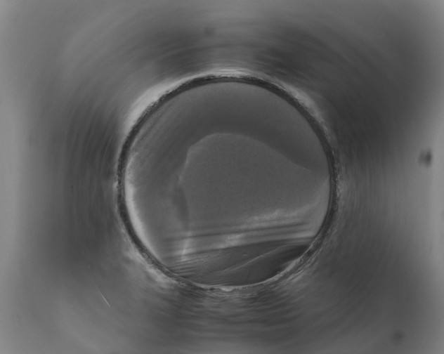 X0000111631327200908141334