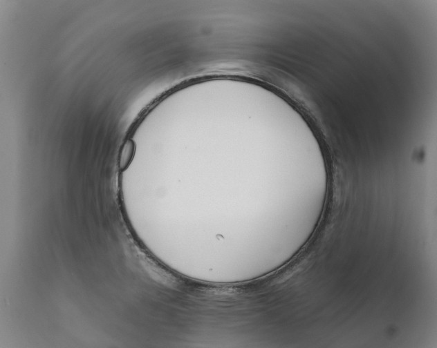 X0000111631328200908141334
