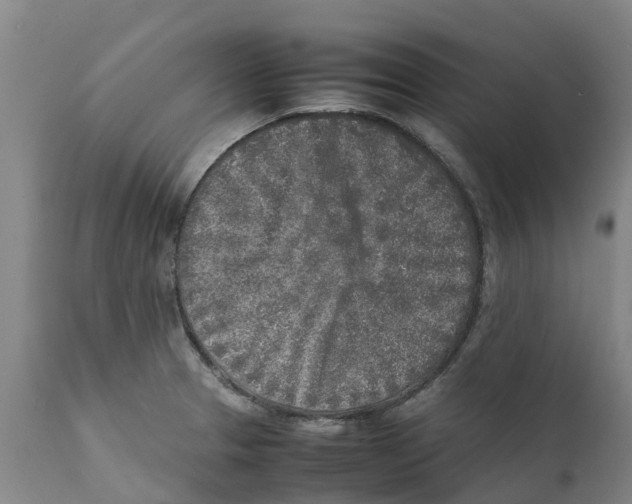 X0000111631329200908141334