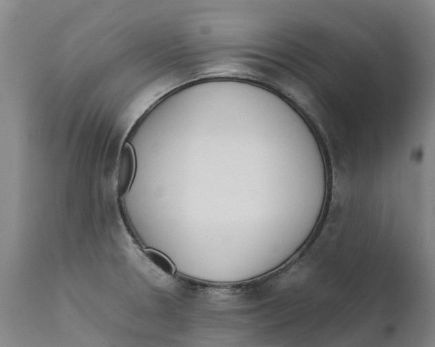X0000111631330200908141334