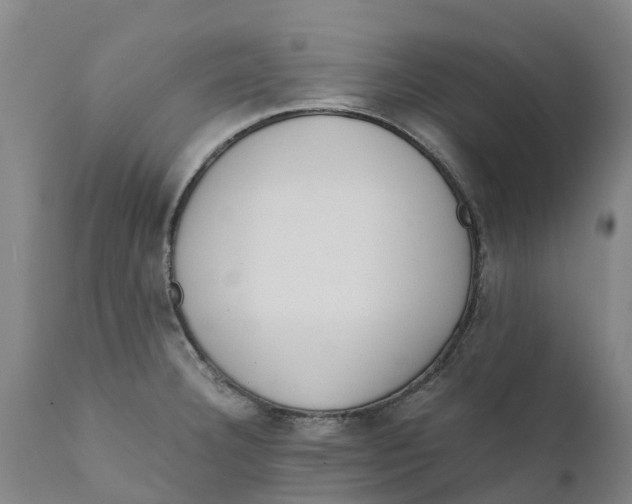 X0000111631332200908141334
