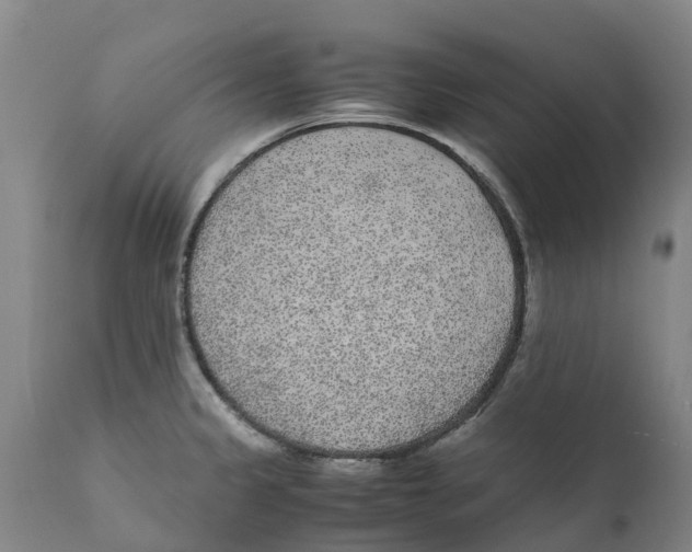 X0000111631333200908141334