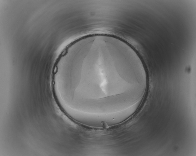 X0000111631334200908141334