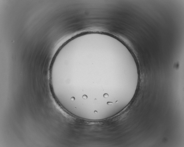 X0000111631335200908141334