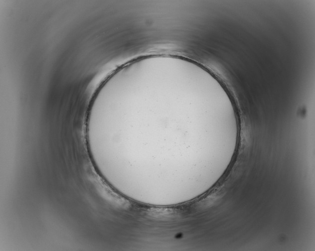 X0000111631336200908141334
