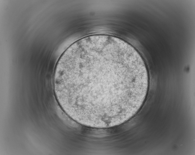 X0000111631338200908141334