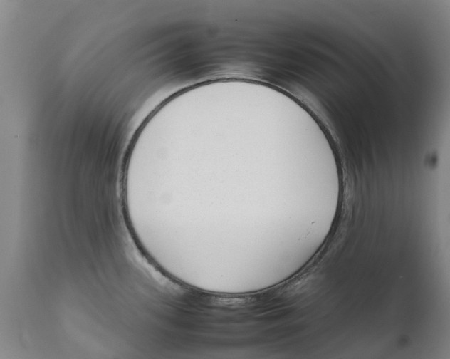 X0000111631339200908141334