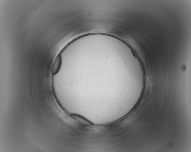 X0000111631340200908141334