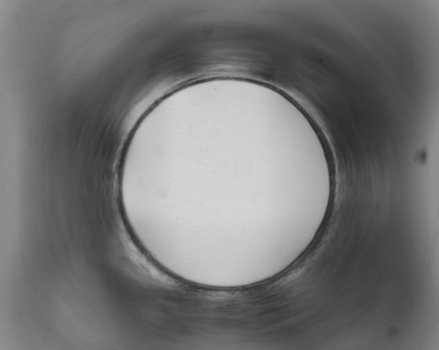 X0000111631341200908141334