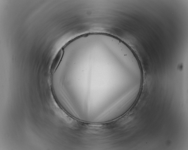 X0000111631342200908141334