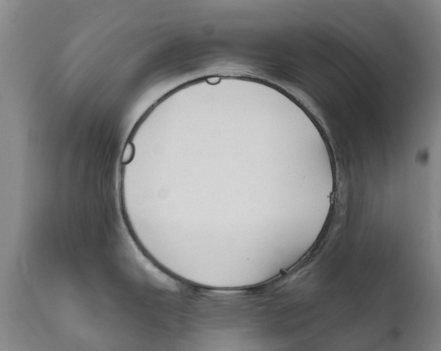X0000111631343200908141334