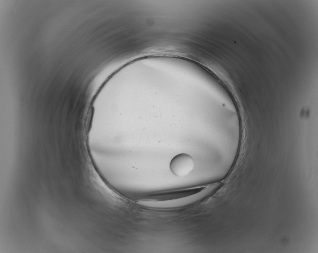 X0000111631344200908141334