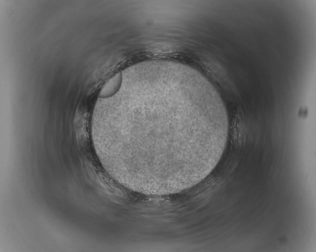X0000111631346200908141333
