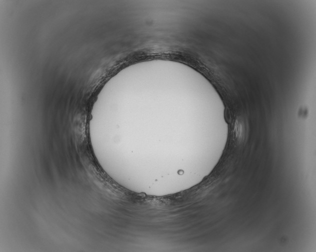 X0000111631348200908141333