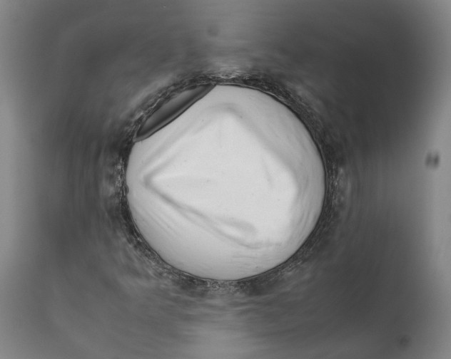 X0000111631349200908141333