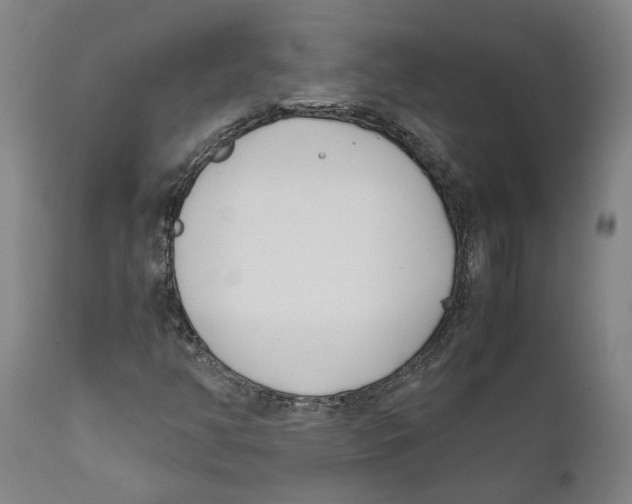 X0000111631350200908141333