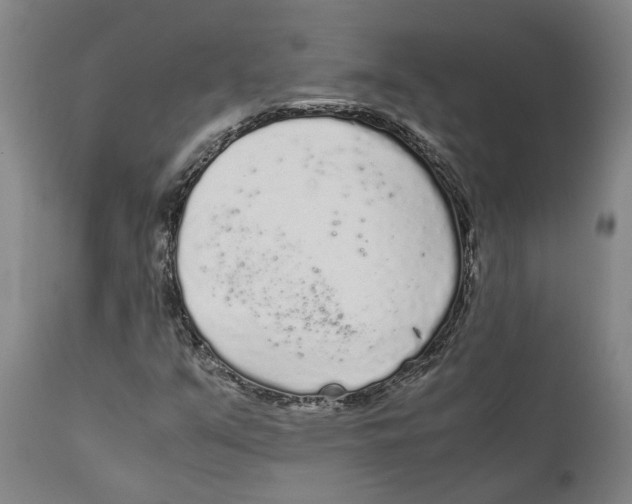X0000111631351200908141333