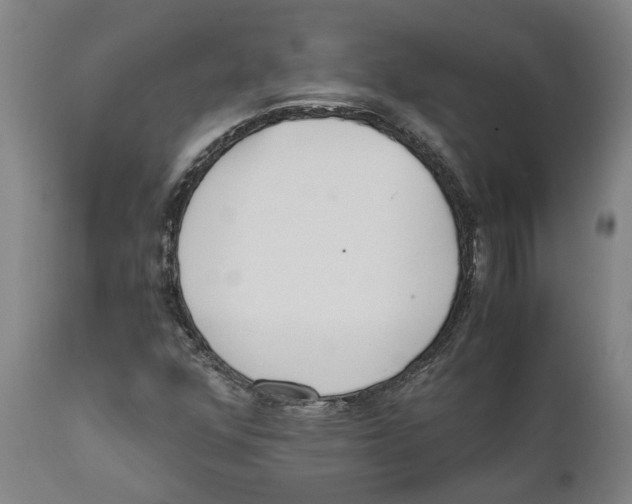X0000111631352200908141333