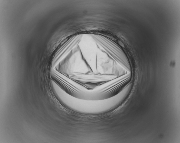 X0000111631353200908141333