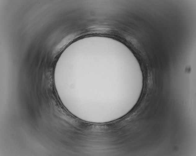 X0000111631354200908141333