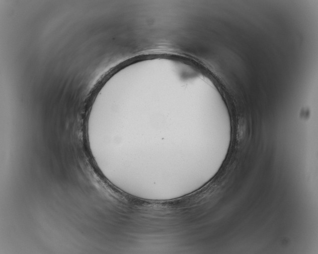 X0000111631356200908141333