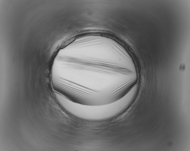 X0000111631357200908141333