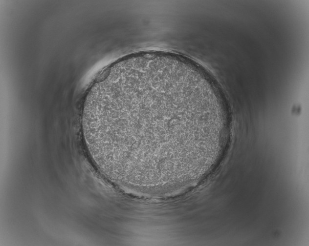 X0000111631359200908141333