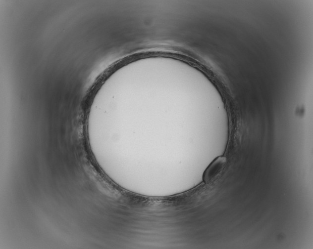 X0000111631360200908141333