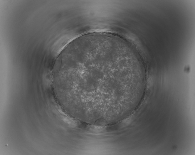 X0000111631361200908141333