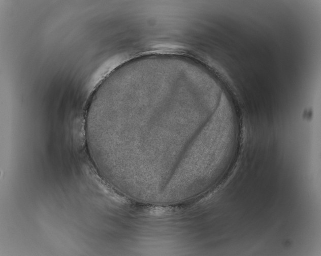 X0000111631362200908141333
