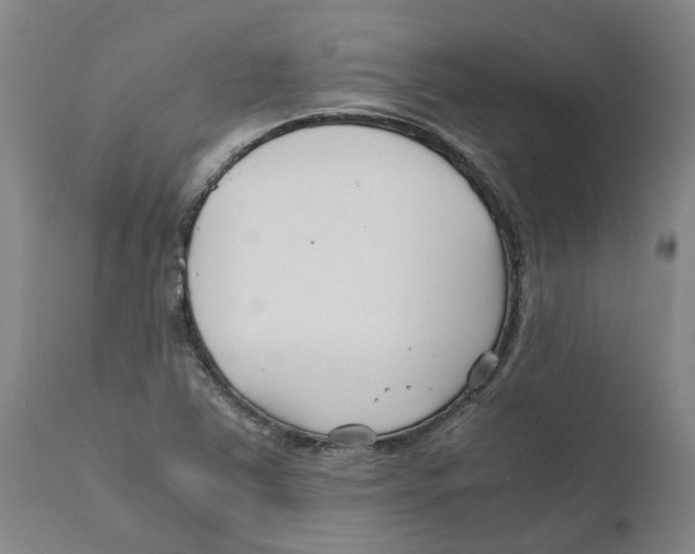 X0000111631363200908141333