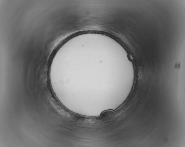 X0000111631364200908141333