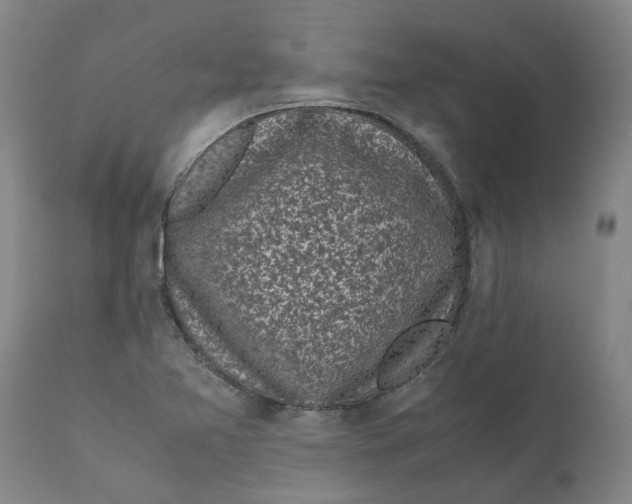 X0000111631365200908141333