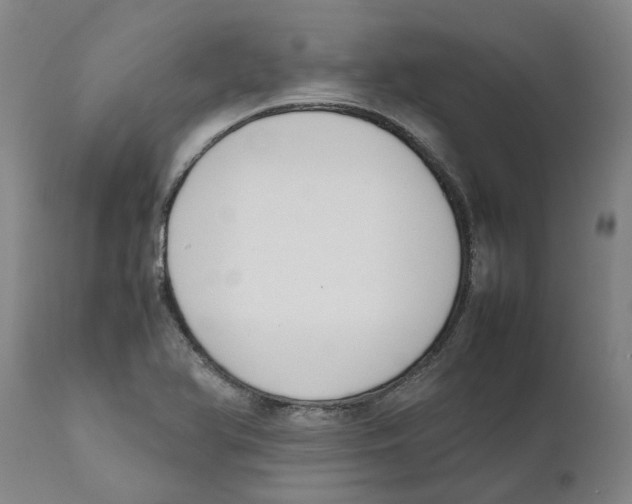 X0000111631366200908141333