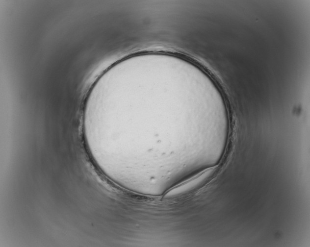 X0000111631367200908141333