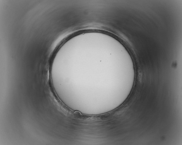 X0000111631368200908141333