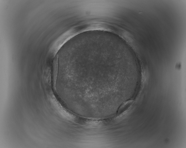 X0000111631369200908141333