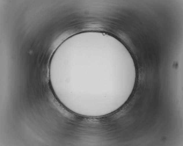 X0000111631370200908141333