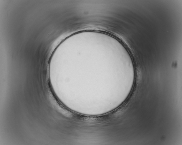 X0000111631371200908141332