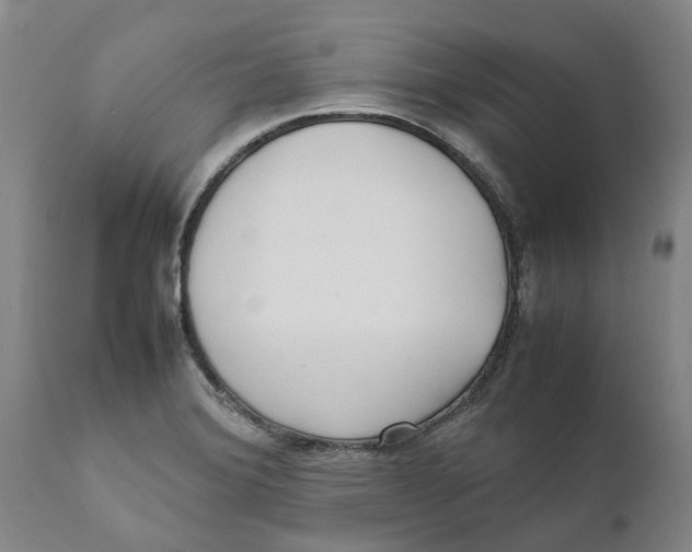 X0000111631372200908141332