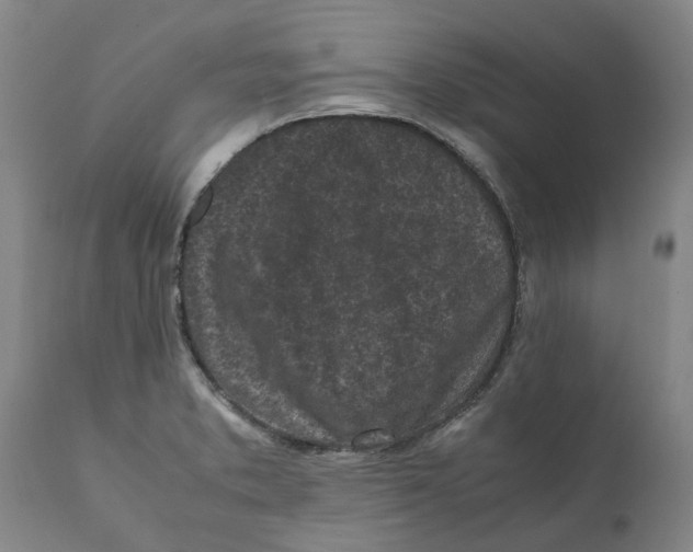 X0000111631373200908141332