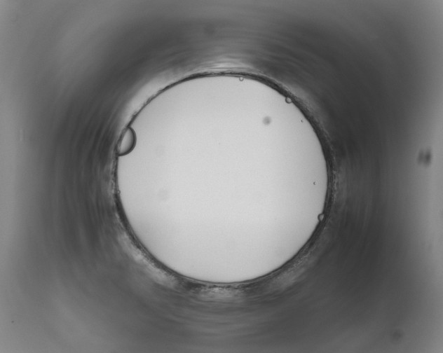 X0000111631374200908141332