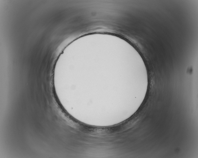 X0000111631375200908141332