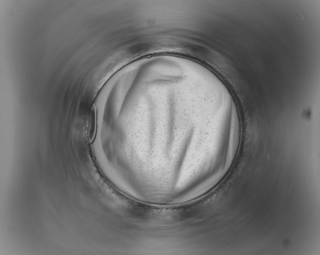 X0000111631377200908141332